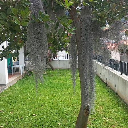 Villa Cosy Nook Funchal  Eksteriør billede