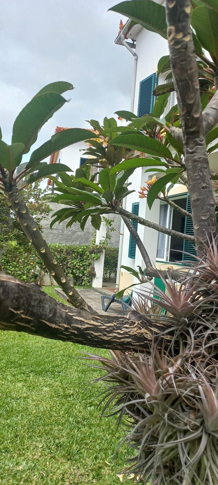 Villa Cosy Nook Funchal  Eksteriør billede